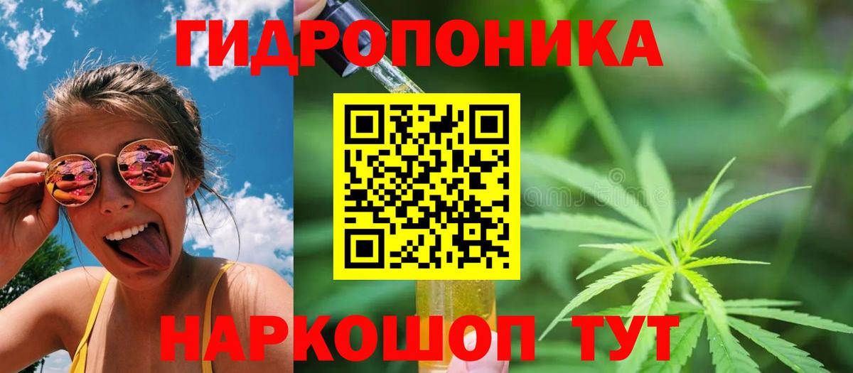 Бошки Шишки Amnesia Сибай